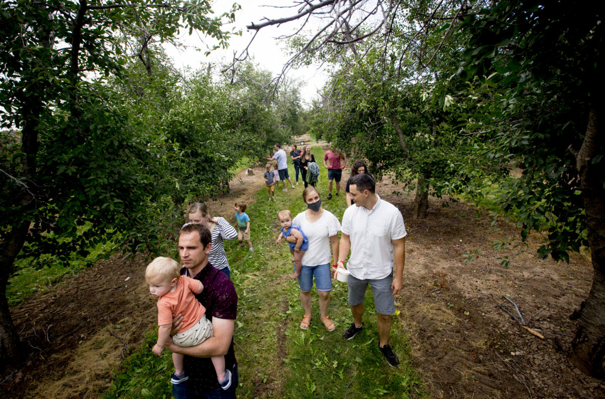 Santaquin asks Utah, Juab counties to adjust boundary to promote ‘agritourism’ News, Sports